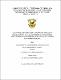 Tesis - Guajardo Cruztitla, Jorge Luis.pdf.jpg