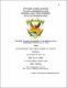 Tesis - Núñez Irizar, Zindy Pamela.pdf.jpg