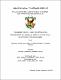 Tesis - Morales Avila, Myrna Cristina.pdf.jpg